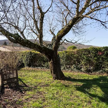 Daire L'albizia Dauphin